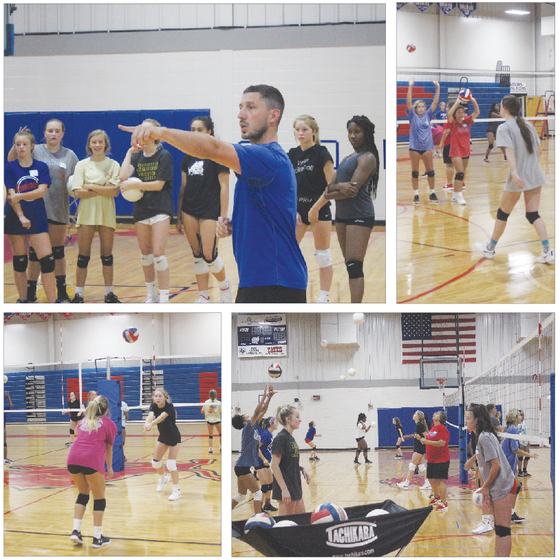 Lady Lions volleyball